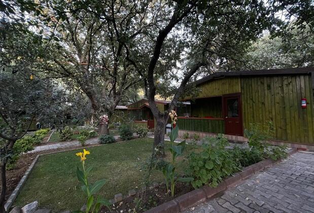 Ela Ela Bungalov Evler - Görsel 24