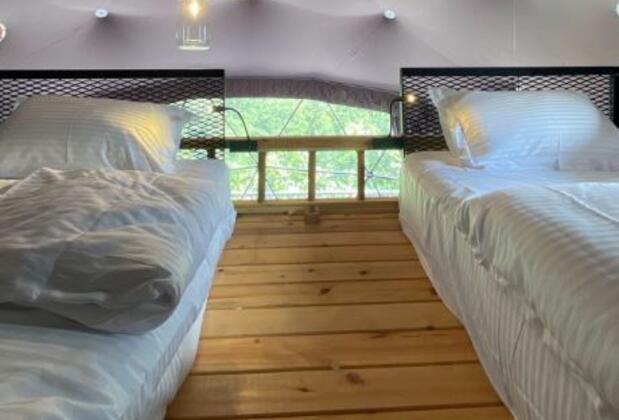 Kaledome Orman Evleri - Görsel 6