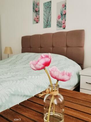 Süer Apart Kas - Görsel 42