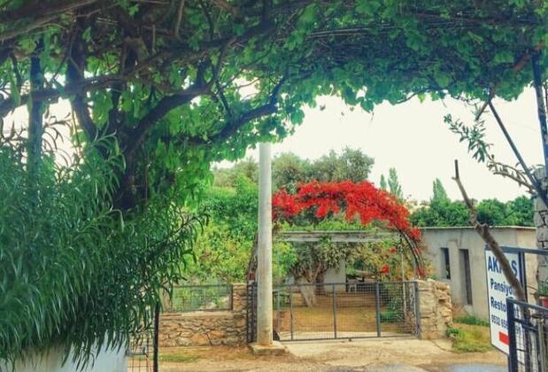 Mazı Akkaş Pansiyon - Görsel 2