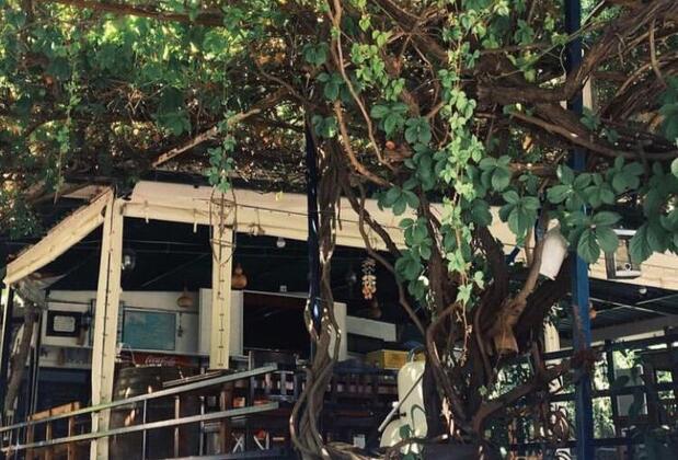 Mazı Akkaş Pansiyon - Görsel 8