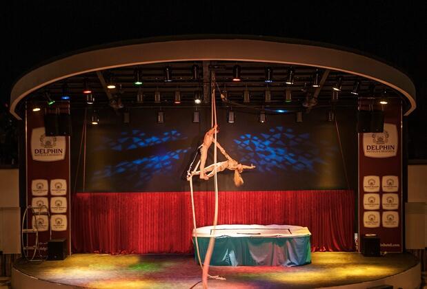 Delphin Botanik Platinum - Görsel 32