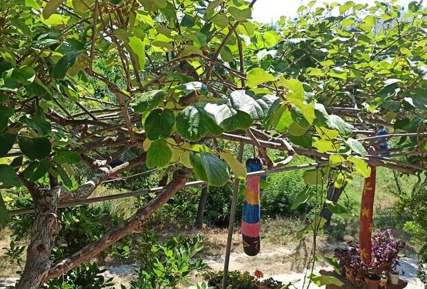 Çanakkale Gökçeada Çetinler Pansiyon - Görsel 20