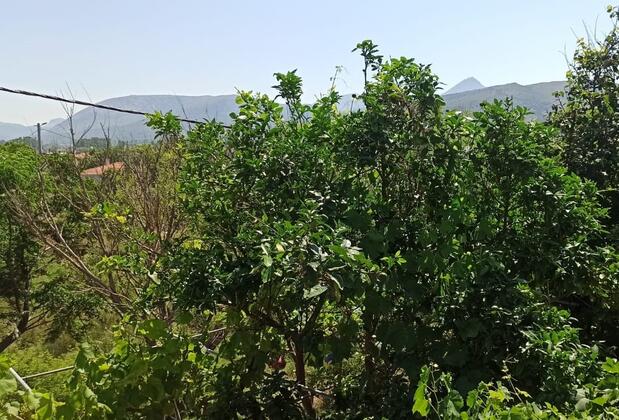 Çanakkale Gökçeada Çetinler Pansiyon - Görsel 21