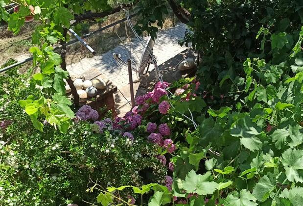 Çanakkale Gökçeada Çetinler Pansiyon - Görsel 19