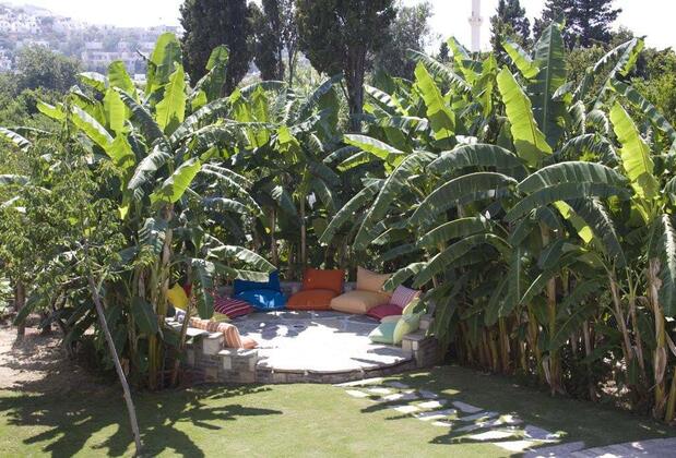 Sun Garden Hotel Apart - Görsel 3