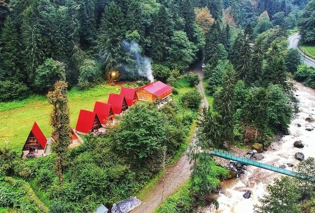 Kotit Ayder - Görsel 2