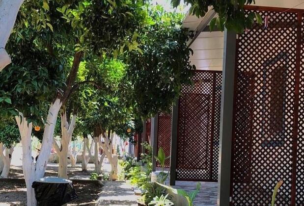 Denizci Restaurant Pansiyon Bodrum Mazı - Görsel 14