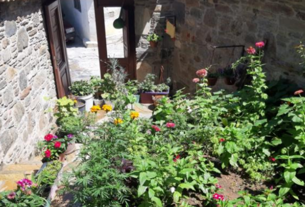 Has Gül Konak Şirince - Görsel 4