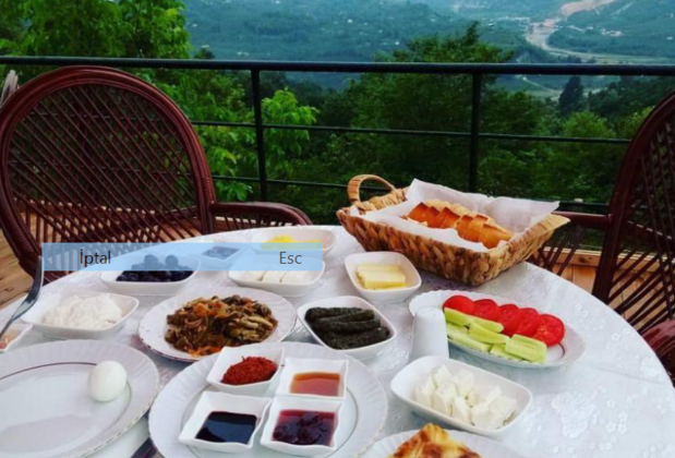 Hayat Oksijen Resort - Görsel 12