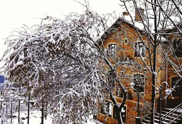 Hayat Oksijen Resort - Görsel 19