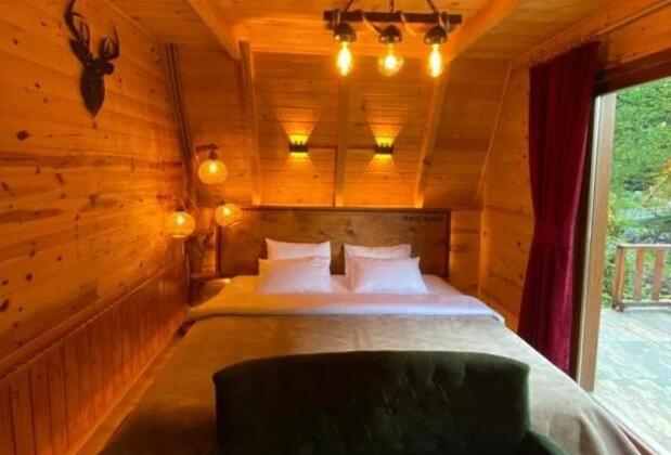 Kotit Ayder - Görsel 7