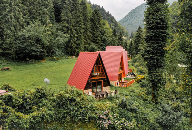 Kotit Ayder - Görsel 4