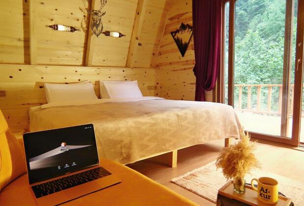 Kotit Ayder - Görsel 10