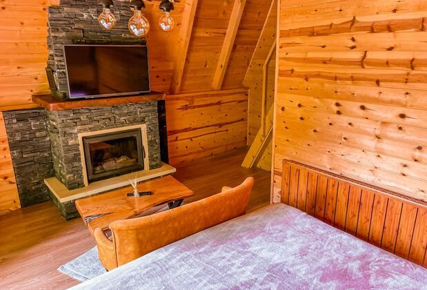 Kotit Ayder - Görsel 12