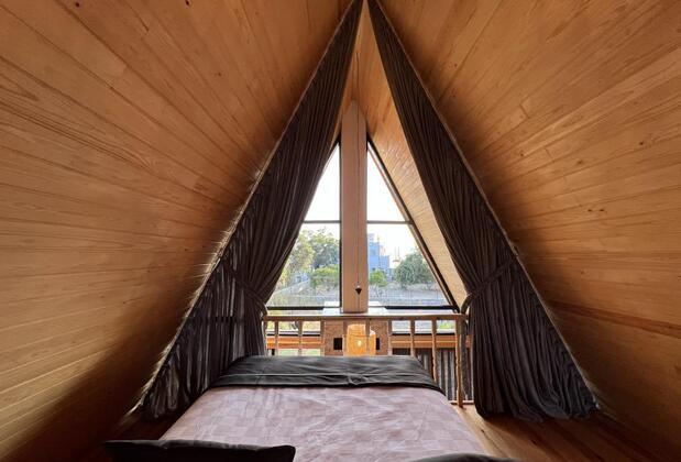 Begonvil Gümüşlük - Görsel 3