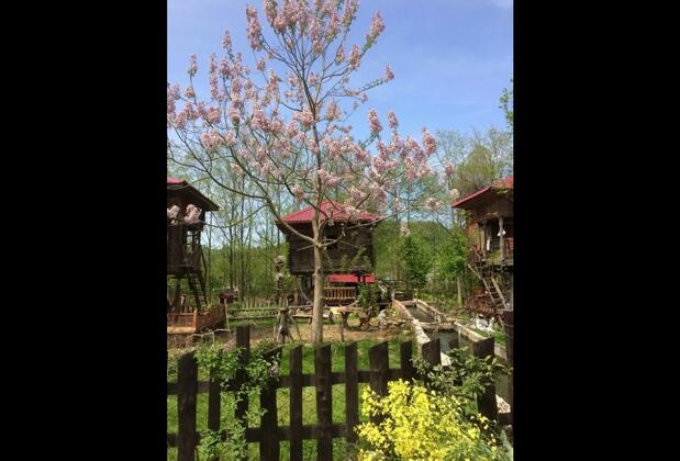 Zeni de Vore Serender & House - Görsel 4