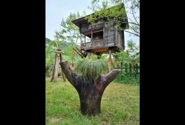 Zeni de Vore Serender & House - Görsel 5