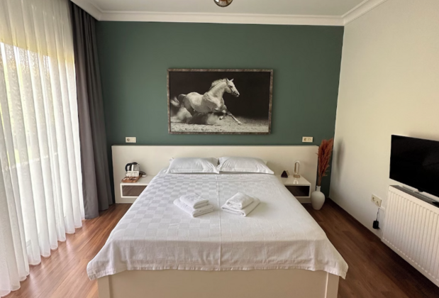 Hestia Ilıca Otel - Görsel 13