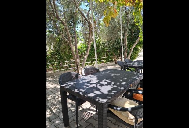 1922 Zeytin Apart - Görsel 8