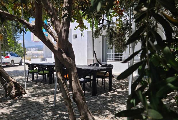 1922 Zeytin Apart - Görsel 15