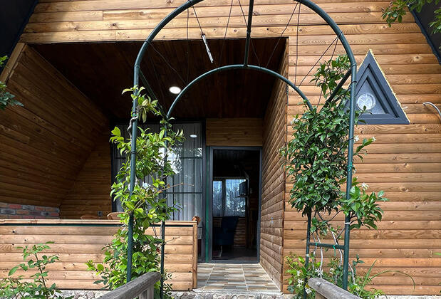 Flamingo Park - Görsel 3