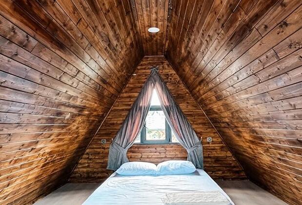 Flamingo Park - Görsel 8