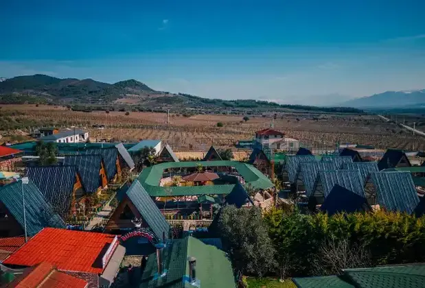 Flamingo Park - Görsel 23