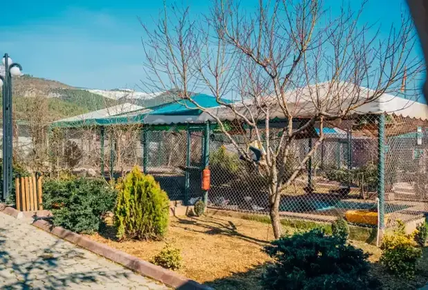 Flamingo Park - Görsel 18