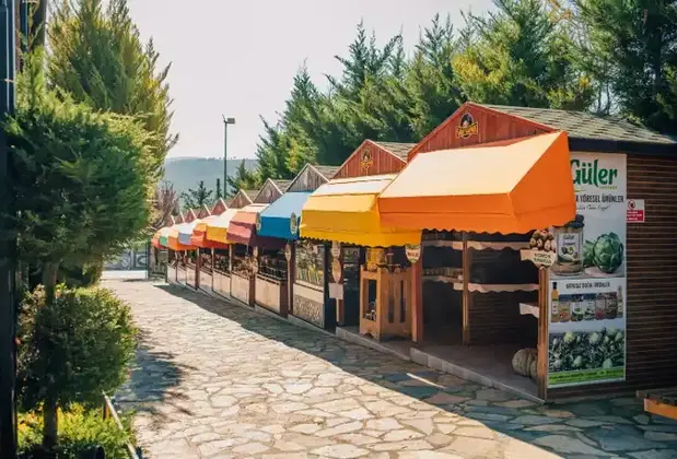 Flamingo Park - Görsel 19