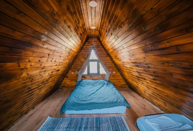 Flamingo Park - Görsel 11