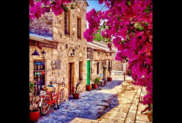 Palamutbükü Pansiyon & Bungalows - Görsel 26