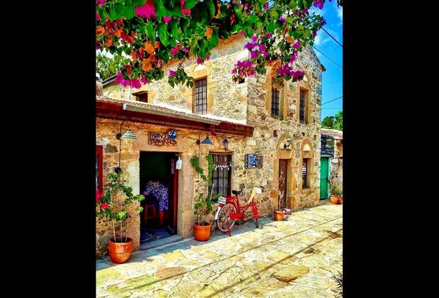 Palamutbükü Pansiyon & Bungalows - Görsel 27