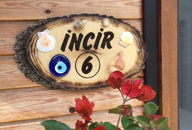 Palamutbükü Pansiyon & Bungalows - Görsel 14