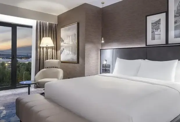 Radisson İzmir Aliağa - Görsel 3