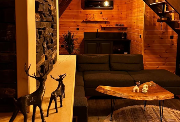 Eloi Suit Bungalov - Görsel 5