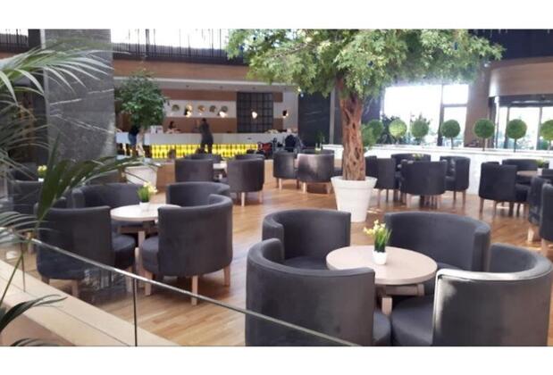 Seashell Vega - Görsel 7