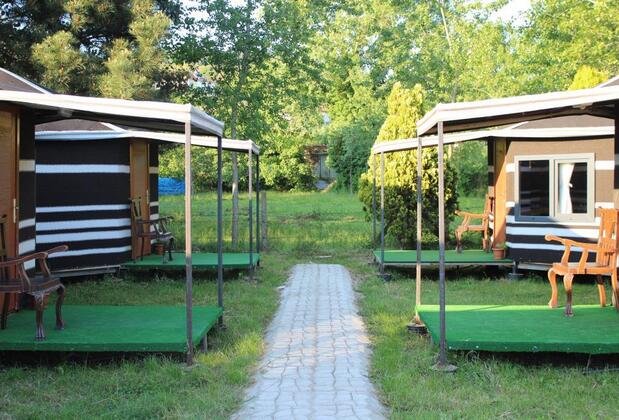 Çeşmi Çakraz - Görsel 4