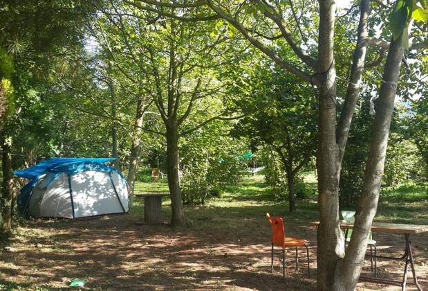 Çeşmi Çakraz - Görsel 5