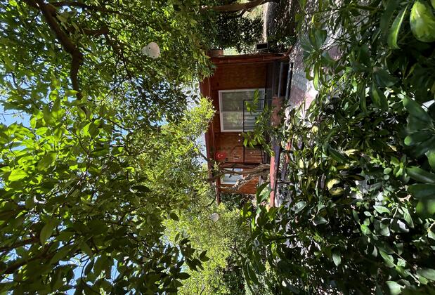 Tokgöz Apart Adrasan - Görsel 28