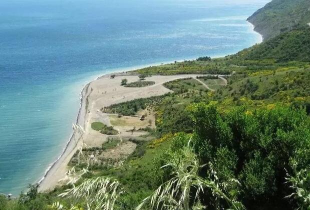 İstanbul'a Yakın Yeşil ve Mavi Bir Cennet: Uçmakdere