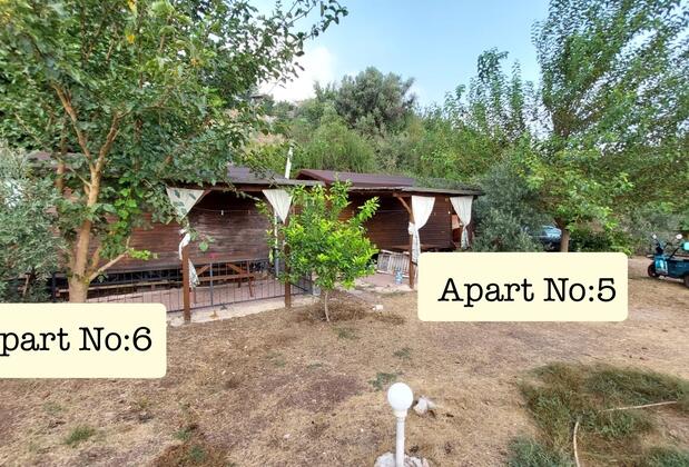 Hamiyet Öğretmenin Tatil Evi - Görsel 29