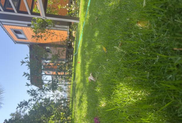 Helios Tiny House Mazı Bodrum - Görsel 7