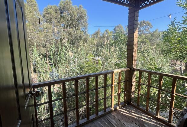 Adrasan Songur Pansiyon - Görsel 5