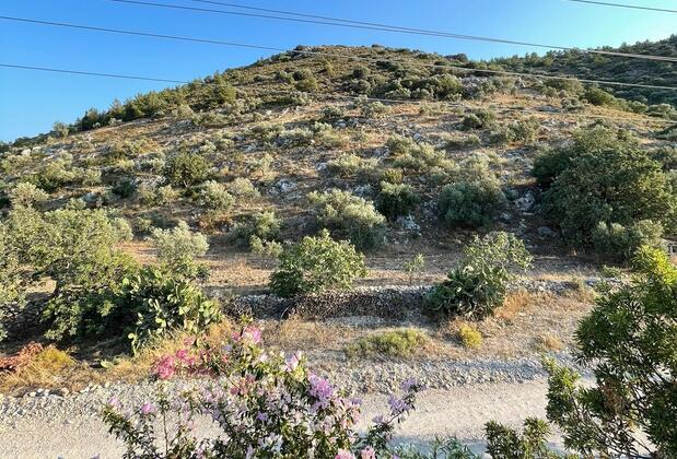 Yaprak Apart - Görsel 9