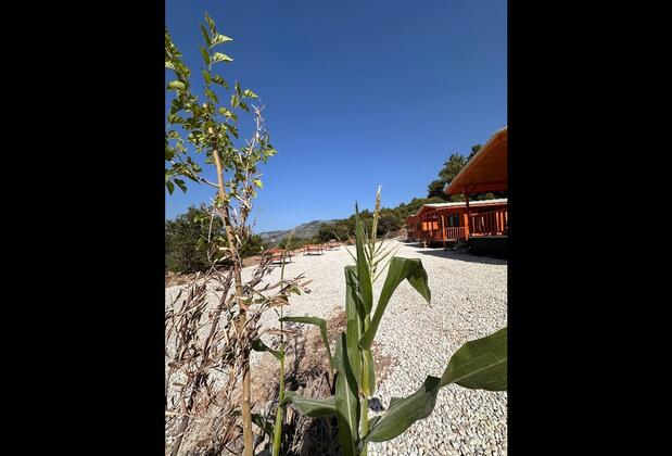 Olympos Pusula Apart Evleri - Görsel 17