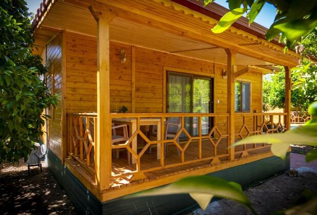 Adrasan Zakkum Evleri - Görsel 3