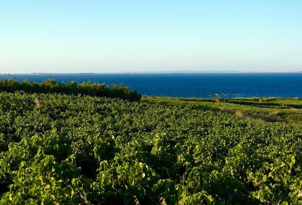 Begonvil Otel Bozcaada - Görsel 7