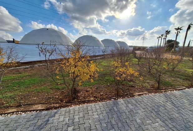 Alaçatı Route 35 Glamping & Restaurant - Görsel 5