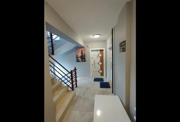 Çam Suit - Görsel 6